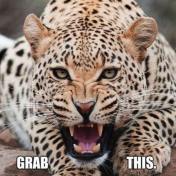 grab-this-pussy