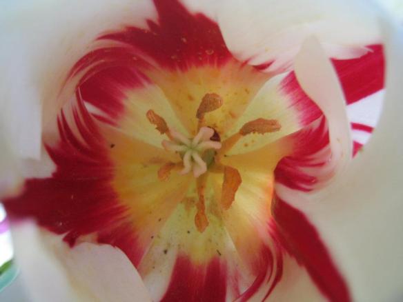 546505_3541050719516_553644737_n