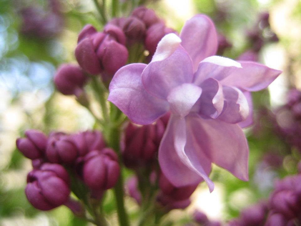 552503_3426810143573_122185844_n