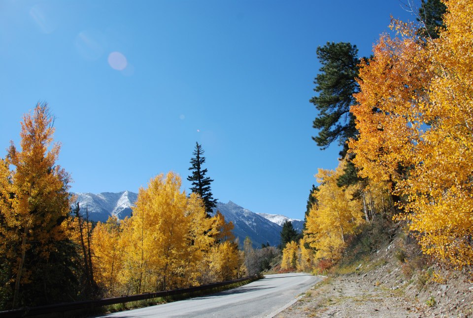 919_4331873329587_306774116_n