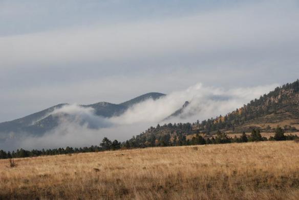 12657_4331869529492_1472680046_n