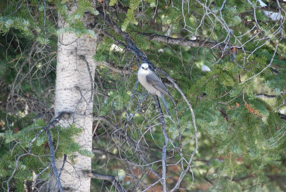 546782_4331875609644_1120262410_n