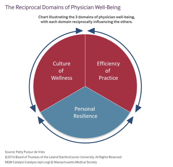 the-reciprocal-domains-of-physician-well-being-1